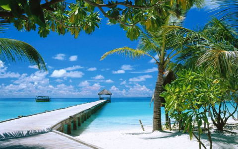 旅游网站建设解决方案